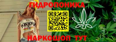 PSILOCYBIN Ставрополь