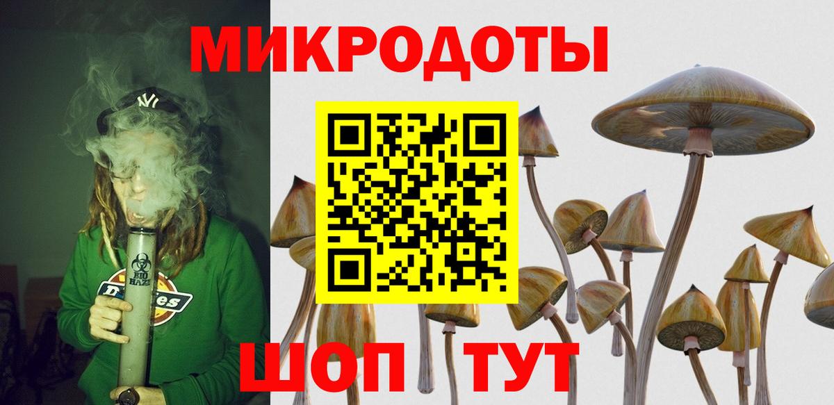 Галлюциногенные грибы MAGIC MUSHROOMS  Вход с VPN  Рыбинск  Галлюциногенные грибы Cubensis 
